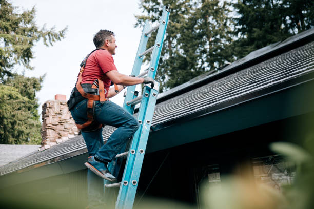 Best Roof Maintenance and Cleaning  in Patterson, LA